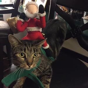 Meet your Posher, Teddy